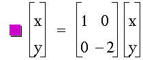 vector(x,y)=matrix(2,2,1,0,0,-2)*vector(x,y)