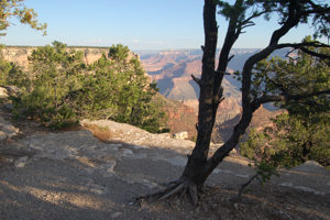 photo of the Grand Canyon in 2010